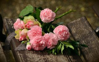Způsob, jak zasadit řezané růže tak, aby rostly