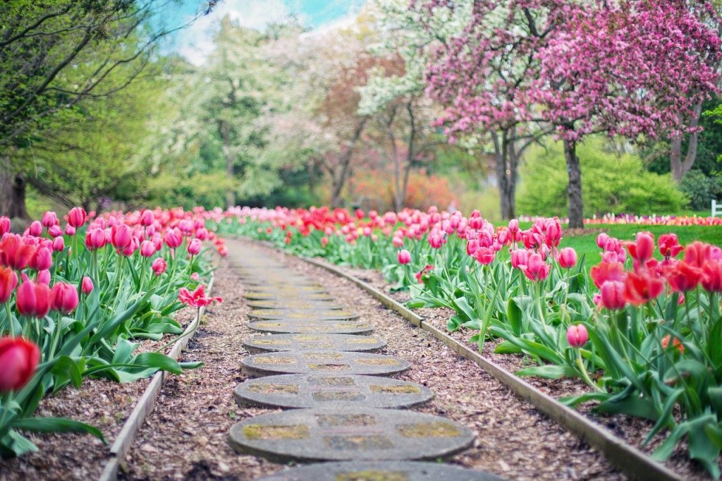 pathway 2289978 1280