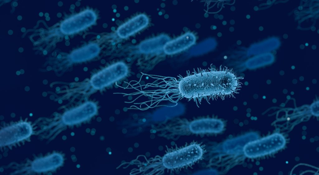 bacteria 3662695 1920