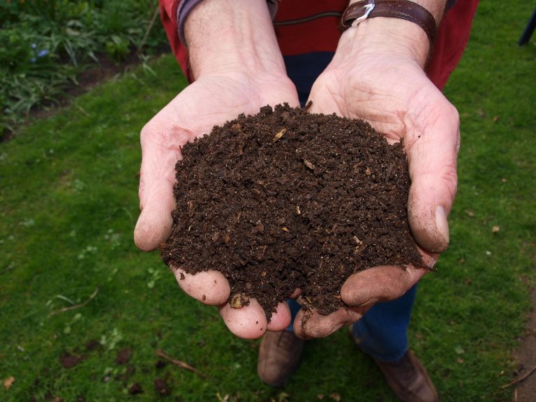 Jak vytvořit kompost ‒ černé zlato pro vaši zahradu