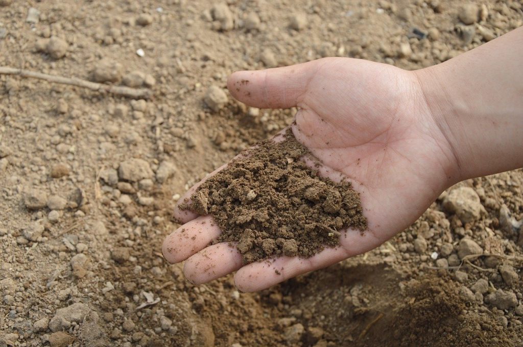 hnojivo soil 766281 1280
