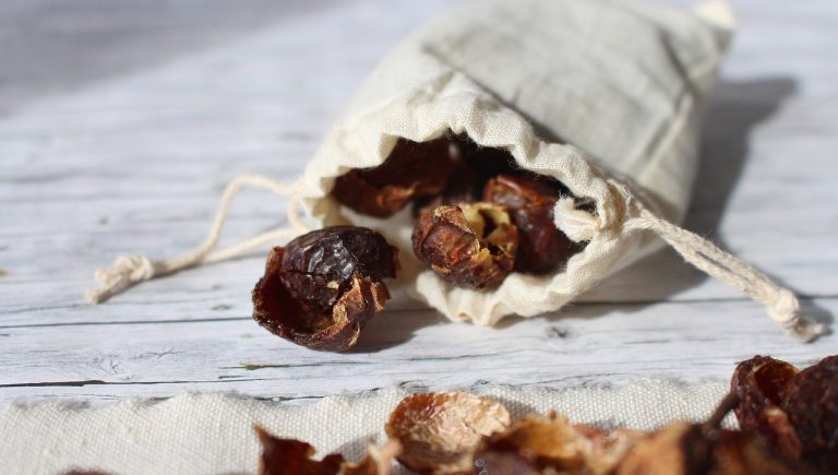 Mýdlové ořechy nahradí prášek i aviváž. Najdete je volně v přírodě a jsou mnohonásobně účinnější