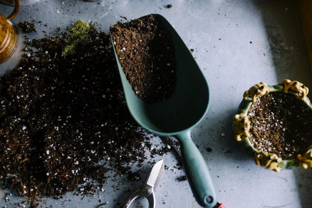 gardening 690940 1280 e1619116287281