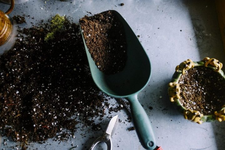 gardening 690940 1280 e1619116287281
