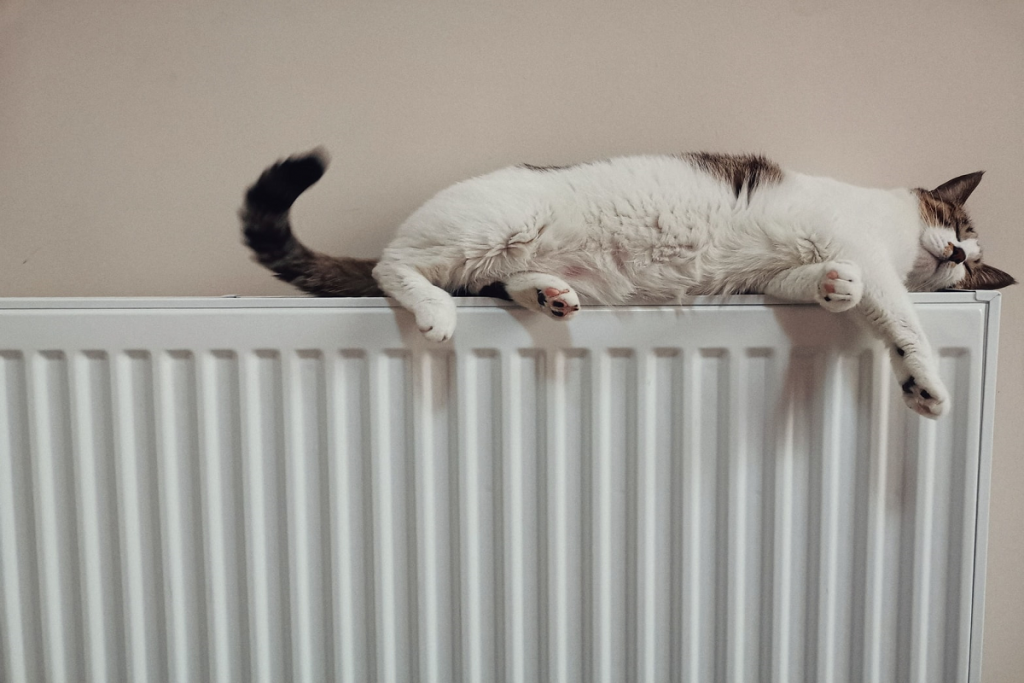Kočka ležící na radiátoru