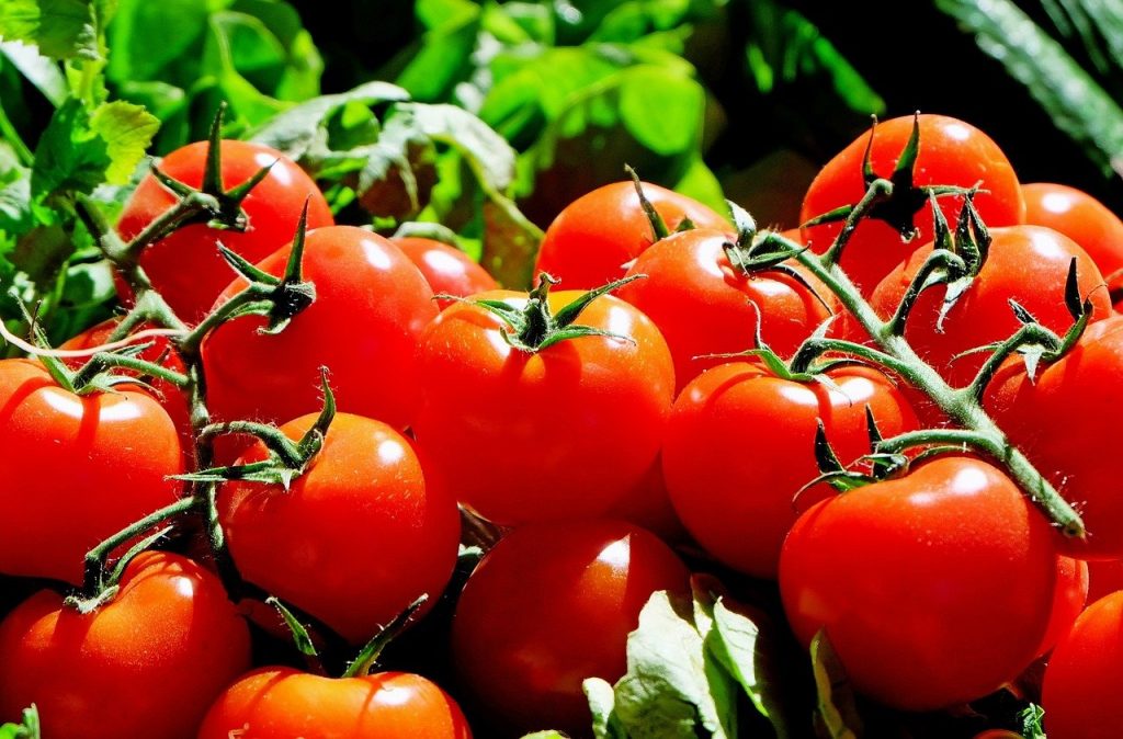 tomatoes 1280859 1280 1