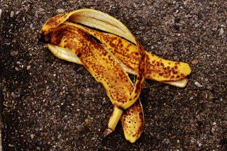Proč zkušení pěstitelé naplňují banánovou slupku vodou a zalévají s ní rostliny