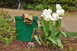 Finty pilných chalupářů a zahradníků, na co během jara na zahradě nezapomenout. Klíčem k úspěchu je mazání stromků