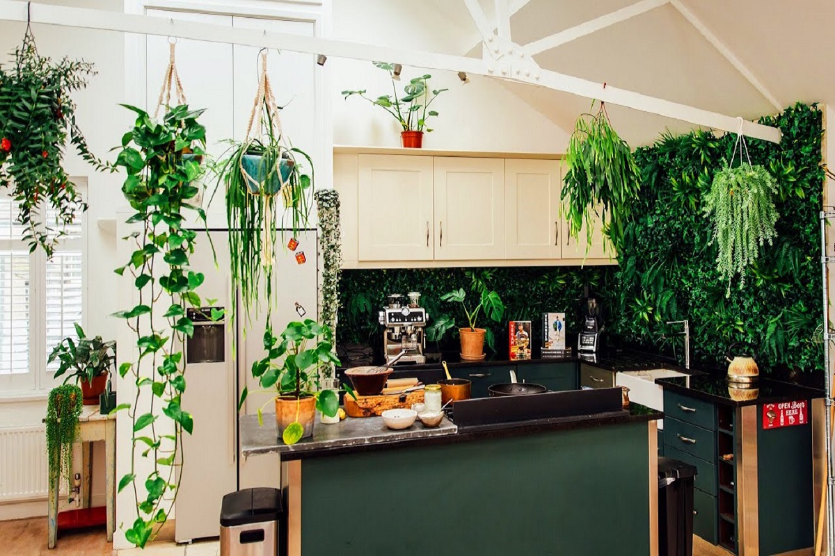 Only plants. Растения на кухне. Живые цветы в интерьере кухни. Комнатные растения на кухне. Комнатные растения в интерьере кухни.