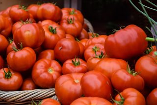 Opomíjené živiny, které zaručí gigantickou úrodu sladkých a šťavnatých rajčat. Budete jich mít tolik, že je nebudete stíhat sbírat