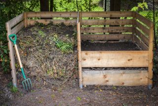 Připravenost kompostu k použití prozradí řeřicha aneb Na co je třeba při zakládání kompostu dát pozor