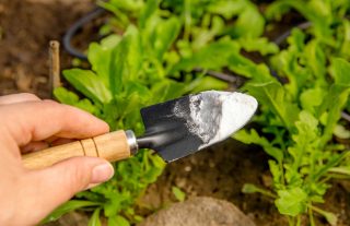14 kuriózních taktik užití jedlé sody na zahradě. Od testování pH půdy až po čištění zahradního nábytku