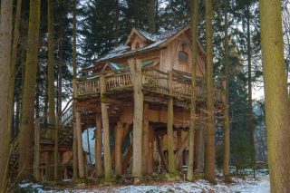 Kdo by nechtěl žít na stromě? Kouzelný dům na samotě u lesa je splněný dětský sen za pár korun