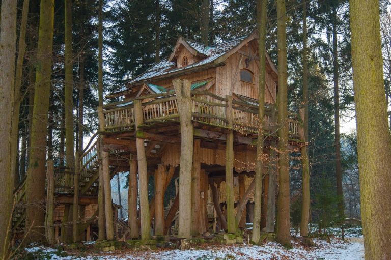 tree house dum na strome