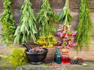 Pěstujte bylinky, které vám prospívají dle znamení zvěrokruhu. Zaženou zdravotní neduhy a přinesou štěstí i pozitivní energii