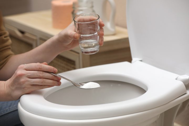 uklid wc zachod jedla soda