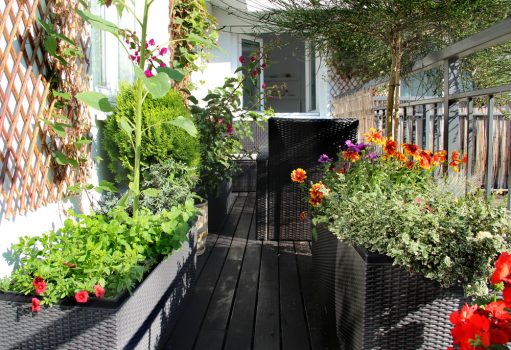balkon kvetiny