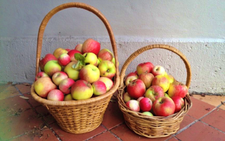 Dokonalé uskladnění jablek na zimu i bez sklepa. Přetrvají spolehlivě až do jara se sladkou chutí a všemi vitamíny