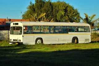 stary autobus