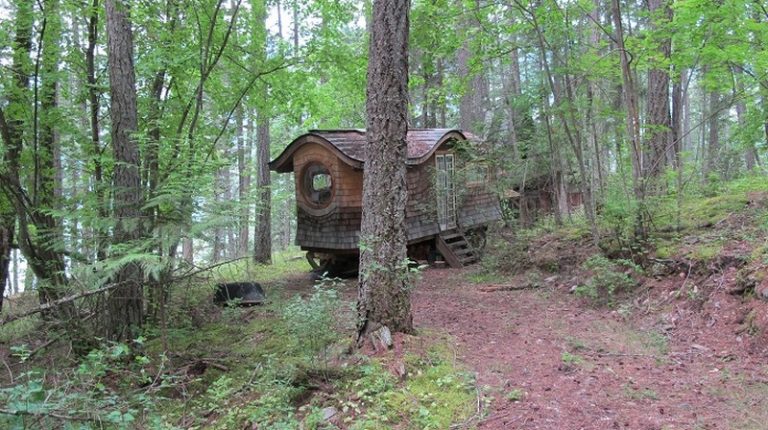 Uprostřed lesa postavila domek připomínající perníkovou chaloupku. Má pouze 15 m², ale při pohledu dovnitř máte pocit, že tam chcete žít