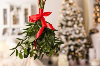 Znáte pravý význam vánočních tradic? Vánoční hvězdu i jmelí má doma každý, málokdo však ví proč