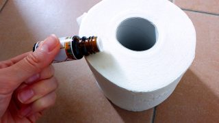 Proč nakapat 4 kapky esenciálního oleje na toaletní papír? Po vyzkoušení se vykašlete na drahé osvěžovače vzduchu