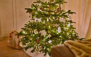Dřevorubec radí 4 pravidla, aby vánoční stromeček přežil celé svátky. Krásně zelený a huňatý bez opadávání