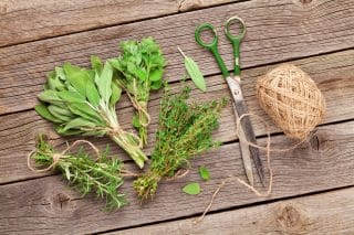 Pěstování, sušení a skladování provensálských bylinek od A do Z: Těm domácím se chutí žádné kupované nevyrovnají