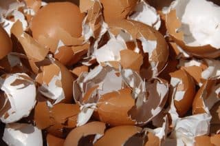 Vaječné skořápky jsou pro hospodyně hotový poklad. Jsou lékem na různé bolesti i účinným hnojivem pro rostliny