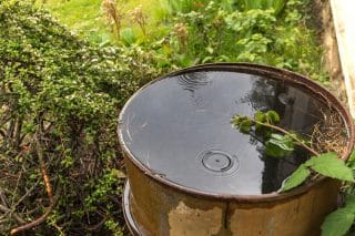 Sbírání dešťové vody s sebou nese jen samá pozitiva, radí chalupáři. Nádrž na zahradě ušetří ročně tisíce korun