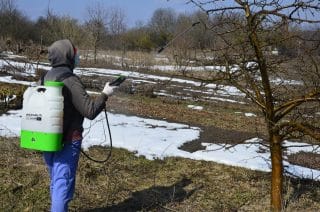 V únoru je čas připravit zahradu na jaro: 4 úkony, které dovedou letošní sezónu k dokonalosti