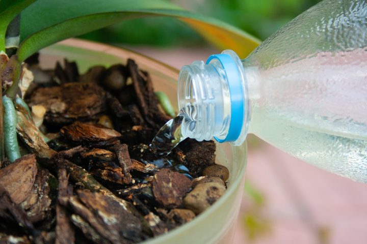 pet lahev zalevani orchidej substrat