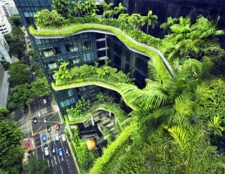 singapur zelene balkony