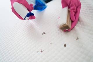 5minutové čištění matrace pomocí peroxidu a jaru