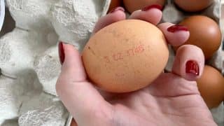 vejce ciselny kod