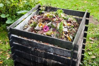 Jak na nejlepší kompost: Promýšlejte si, co děláte –⁠ ne vše byste měli házet na hromadu zbytků