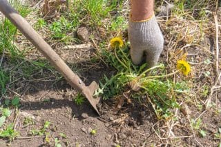 Přestaňte plýtvat časem –⁠ tyto geniální triky na odstranění plevele vám významně usnadní práci. A nemusíte si ani špinit ruce