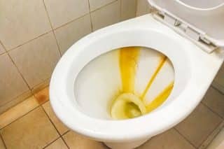 Na rez v koupelně či toaletě stačí nastříkat směs soli a octa. Za pár kaček vyčistíte i stoletou špínu