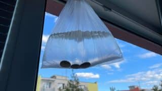 Doma se neobjeví ani jedna moucha: Stačí na okna rozvěsit sáčky s vodou