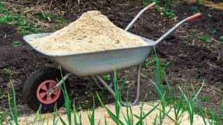Nenechejte zahradu chřadnout. Využijte plného potenciálu pilin – zajistí skvělé podmínky pro růst a poslouží jako mulč