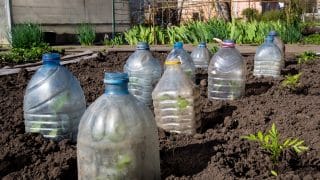 Uplatněte plastové láhve na své zahradě. Postarají se o zavlažování, ochrání rostliny a hravě nahradí některé náčiní