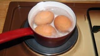 Kdo vylije vodu z vajec, skutečně prohloupí. Její správné použití nakopne rostliny tak, že budete muset plody rozdávat sousedům
