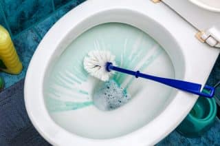 Nikdy neopomíjejte dezinfikování záchodové štětky – je to největší přenašeč bakterií v domácnosti. Jak na to a jak často?