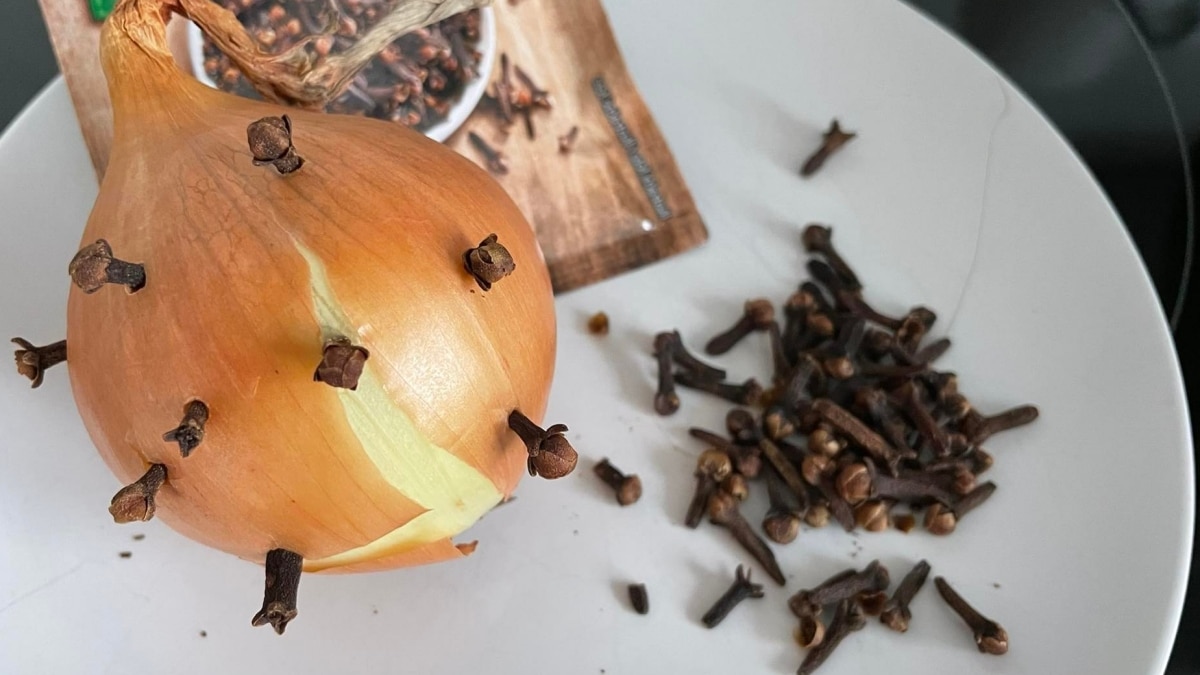 Stačí zapíchat pár kusů hřebíčku do cibule a v létě budete mít po starostech – levné, funkční, snadné