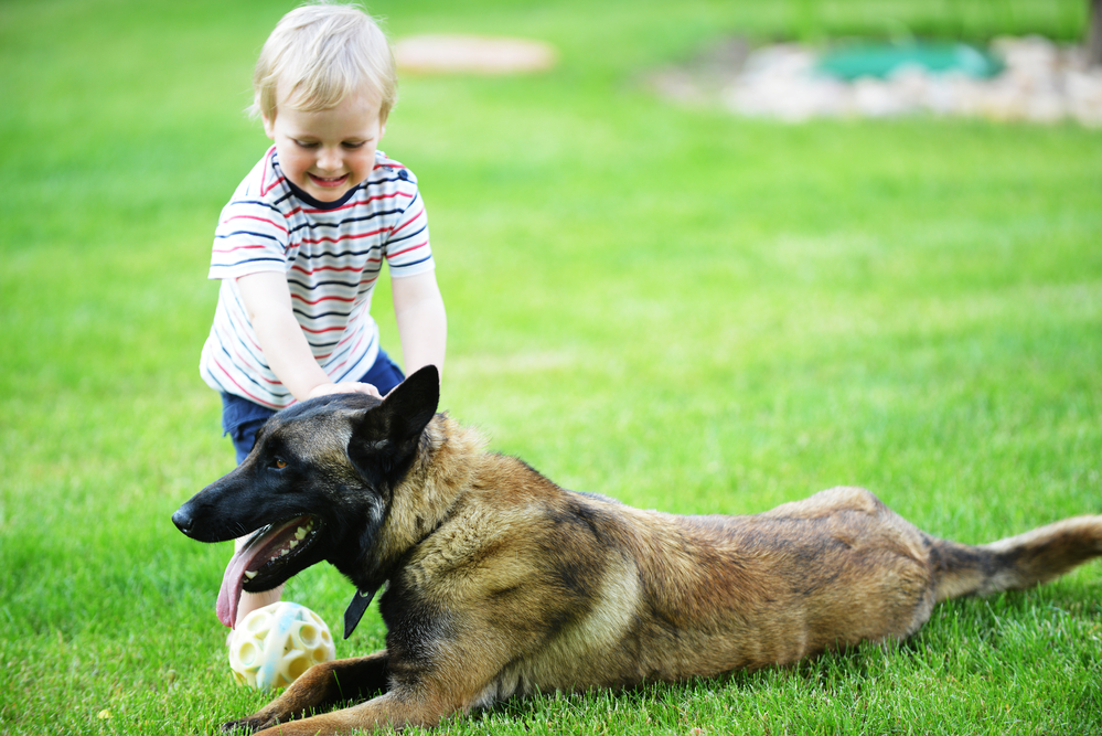 Dítě na zahradě se psem 