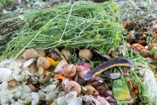 Víte, co (ne)patří do bioodpadu? Třiďte jej správně – šetříte tak místo v popelnici i přírodu