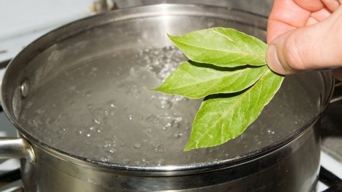 Kamarád – zkušený zahradník – mě naučil, jak hnojit rostliny bobkovým listem. Teď ho mám doma zásobu pro všechny případy