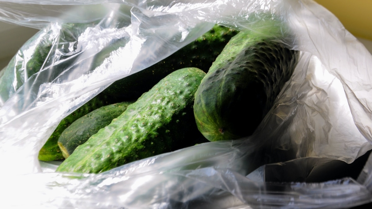 Okurky vydrží čerstvé i měsíc. Stačí dodržovat zásady správného skladování – třeba je nedávat vedle banánů