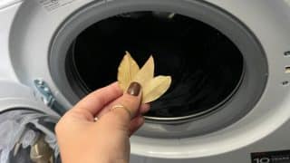 prani bobkovy list