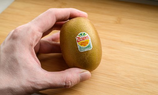 ruka drzici kiwi